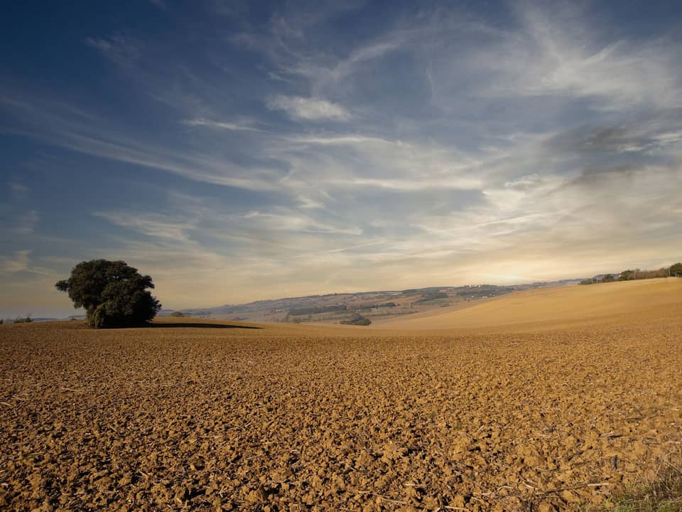 Open undeveloped land under a wide sky